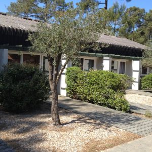 FKK-Urlaub CHM Montalivet Atlantikküste Frankreich - Studio Palomba