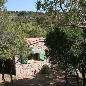 FKK-Urlaub U Furu Korsika - Casetti im Wald