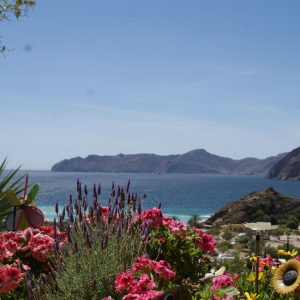 FKK-Urlaub El Portús Cartagena Spanien - Blick aufs Meer