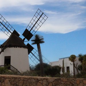 FKK-Urlaub Monte Marina Fuerteventura Kanaren - Windmühle