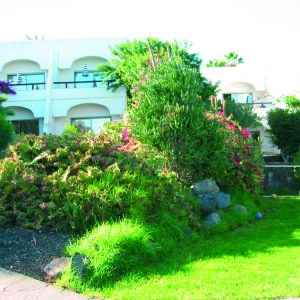 FKK-Urlaub Monte Marina Jandia Fuerteventura - Garten