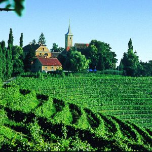 FKK-Urlaub Terme Banovci Slowenien - Weinberge