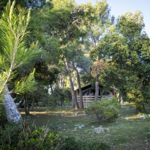 FKK-Urlaub Koversada Vrsar Kroatien - Safari Zelte