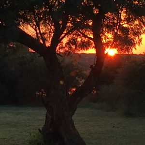 FKK-Urlaub SunEden Pretoria Südafrika - Sonnenuntergang