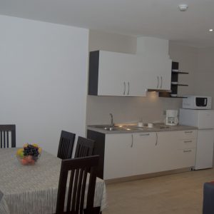 FKK-Urlaub Valalta Rovinj Kroatien - Appartement LC Küche