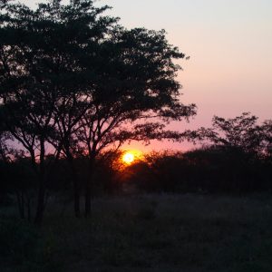 FKK Single-Reise 2018 Südafrika - Sonnenuntergang im Dinokeng Game Park