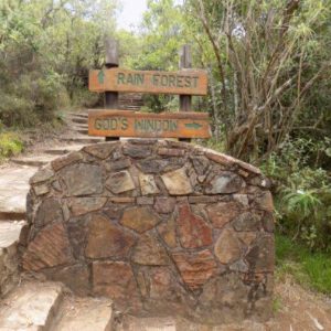 Südafrika Rundreise mit FKK-Zwischenstopps - Regenwald und God's Window