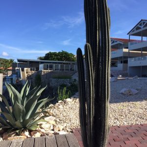 FKK-Urlaub mit MIRAMARE REISEN - Karibik Kleine Antillen Curacao Lagun Sunset