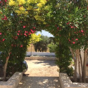 FKK-Urlaub mit Miramare Reisen - FKK Grottamiranda Italien/Apulien Garten