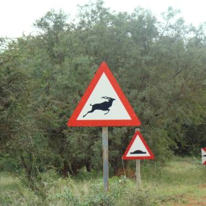 Südafrika Rundreise mit FKK-Zwischenstopps