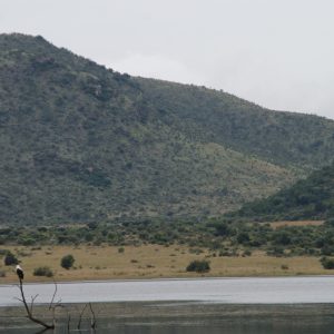 FKK Urlaub mit MIRAMARE REISEN - FKK-Rundreise Südafrika - Pilanesberg