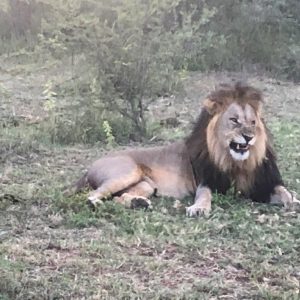 FKK Urlaub mit Miramare Reisen - FKK Rundreise Südafrika