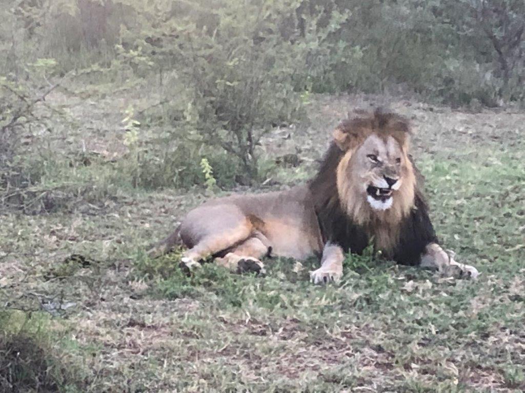 FKK Urlaub mit Miramare Reisen - FKK Rundreise Südafrika