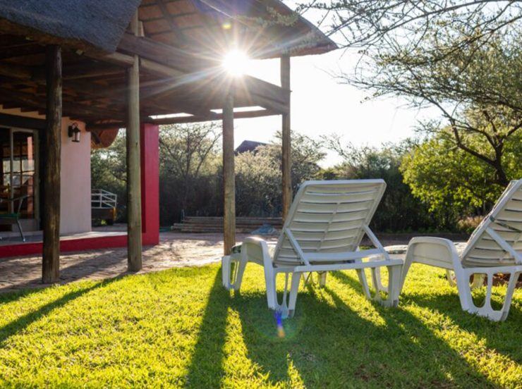 6675513f7e37035138e455d6_Morning Glory