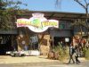 FKK Urlaub mit MIRAMARE REISEN - FKK-Rundreise Südafrika - Chameleon - Markt