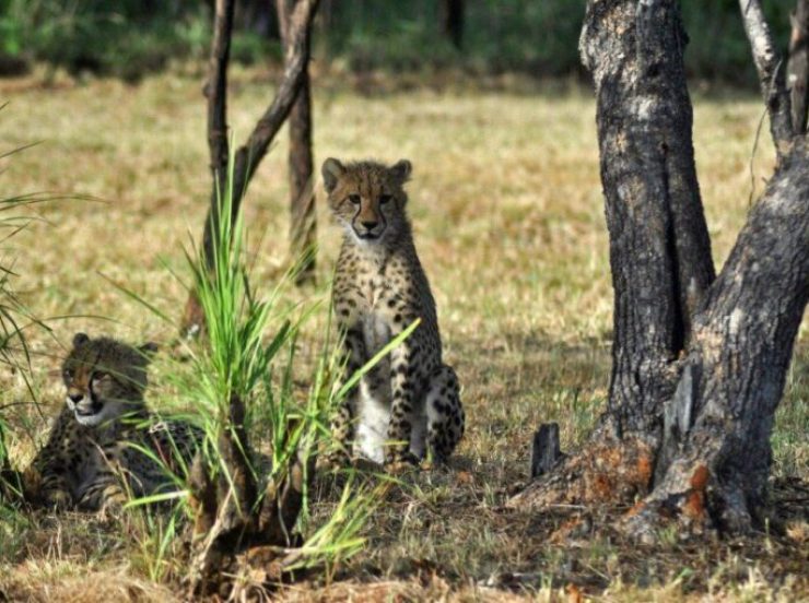 FKK Urlaub mit Miramare Reisen - FKK Rundreise Südafrika - Best of