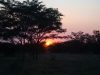 FKK Single-Reise 2018 Südafrika - Sonnenuntergang im Dinokeng Game Park