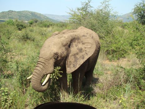 Südafrika Rundreise mit FKK-Zwischenstopps