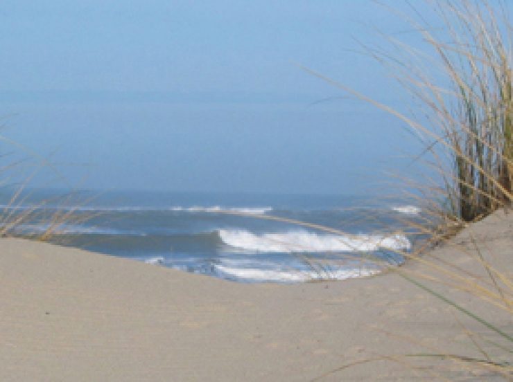 FKK-Urlaub Euronat Atlantikküste Frankreich - Dünenweg