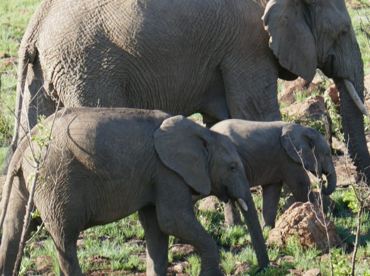 FKK Südarfrika - SunEden FKK-Resort 2026/2027 MIRAMARE REISEN -