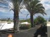 Miramare Reisen - FKK-Urlaub Villa Blanca Charco del Palo Lanzarote - Palmen