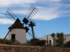 FKK-Urlaub Monte Marina Fuerteventura Kanaren - Windmühle