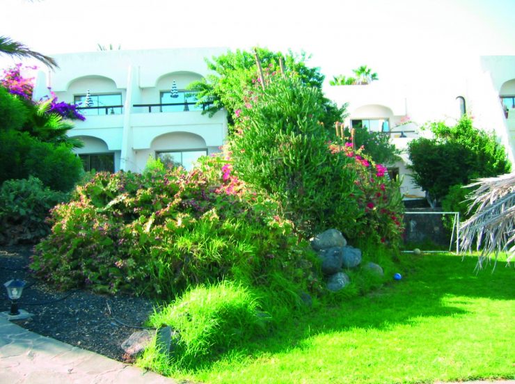 FKK-Urlaub Monte Marina Jandia Fuerteventura - Garten