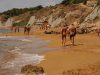 FKK-Urlaub Pizzo Greco Kalabrien Italien - Strandspaziergang