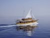 FKK Urlaub mit Miramare Reisen - FKK Kruezfahrt Adria mit MS Planka - Das Schiff