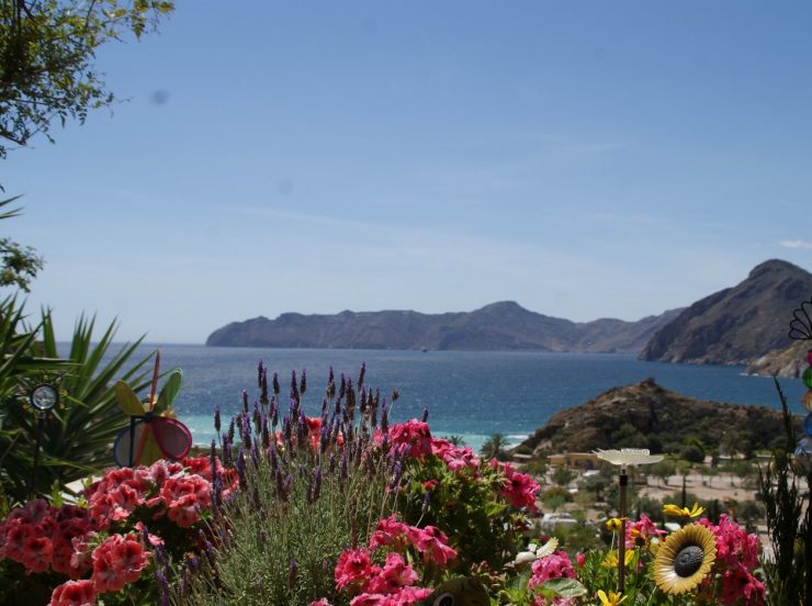 FKK-Urlaub El Portús Cartagena Spanien - Blick aufs Meer