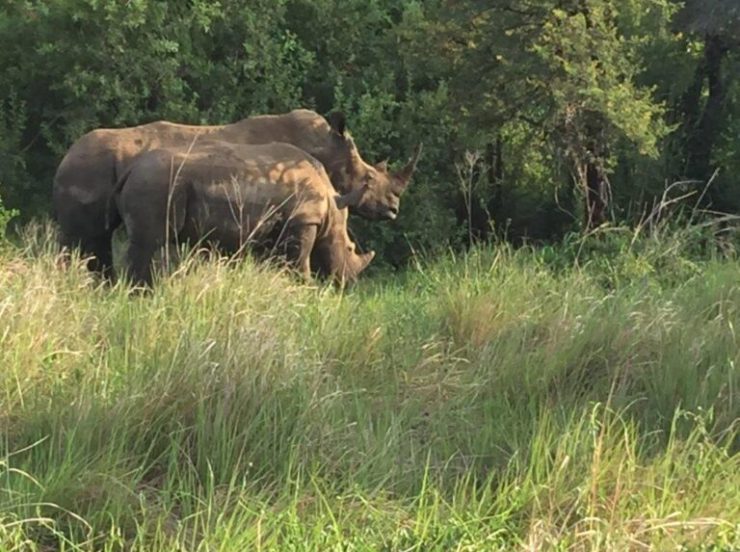 FKK Urlaub mit Miramare Reisen - FKK Rundreise Südafrika - Best of
