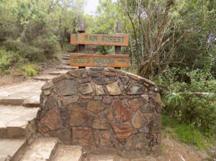 Südafrika Rundreise mit FKK-Zwischenstopps - Regenwald und God's Window