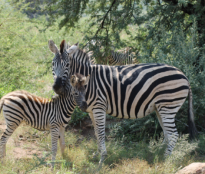 FKK Südafrika mit MIRAMARE REISEN